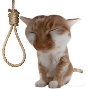 Meet your Posher, Christian